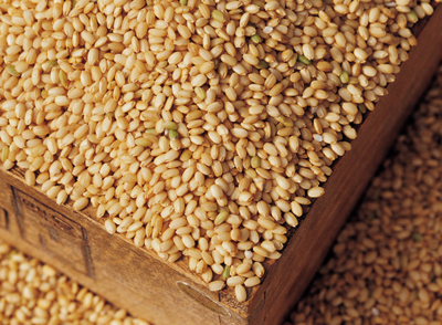 购买新鲜的有机农糙米，挑选色彩深、胚芽部分很鲜明的糙米