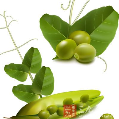 豌豆的医疗功效是非常明显的，它不但含有丰富的营养元素