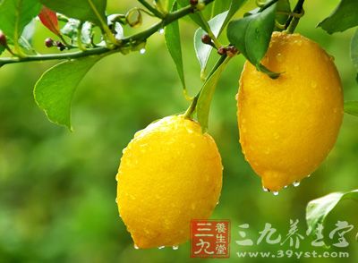 柠檬是芸香科柑桔属的常绿小乔木，原产东南亚