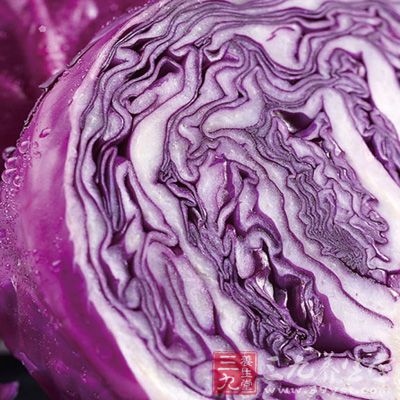 甘蓝菜不仅是一类强身健体的蔬菜，紫甘蓝还含有丰富的硫元素