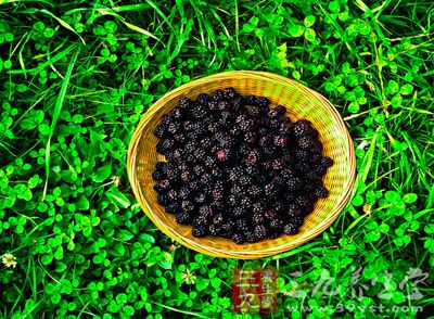 黑莓中的维生素C含量是蓝莓的两倍