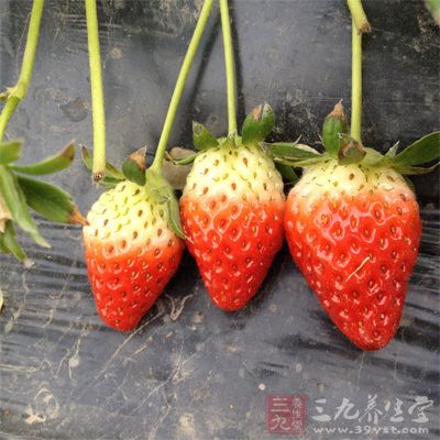 草莓个小，长得又可爱