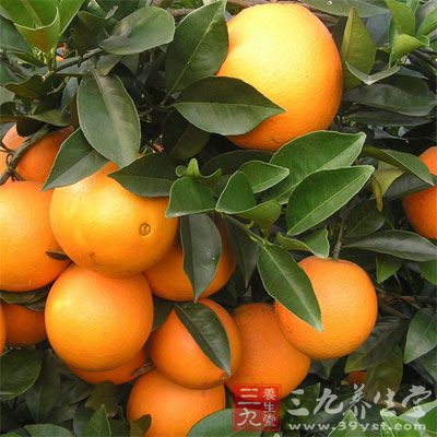 橙皮具有出类拔萃的抗橘皮组织功能。取1/4清洗干净的橙