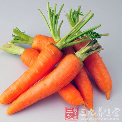 胡萝卜是人获得维生素A的重要来源