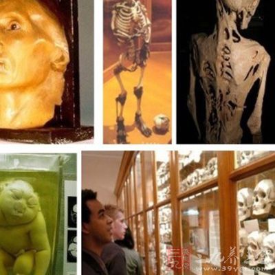 该博物馆是用来供医学院的学生做人体解剖和研究畸形人的地方
