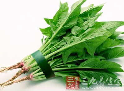 菠菜含有大量的植物粗纤维，具有促进肠道蠕动的作用