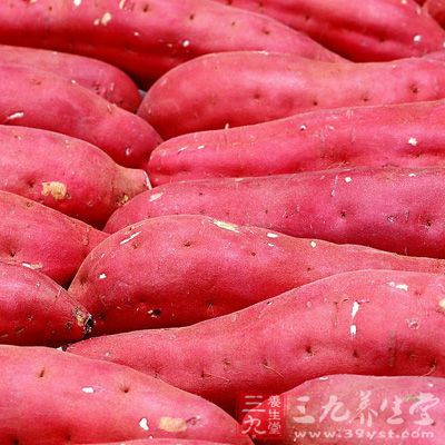 常吃红薯能防止肝脏和肾脏中结缔组织萎缩