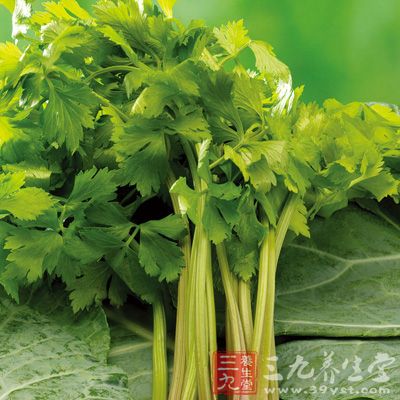芹菜叶的营养成分高于芹菜茎