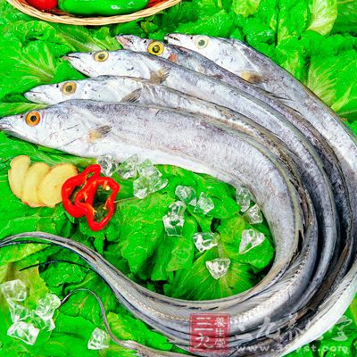 肝炎患者用鲜带鱼蒸熟后取上层油食之，久服可改善症状