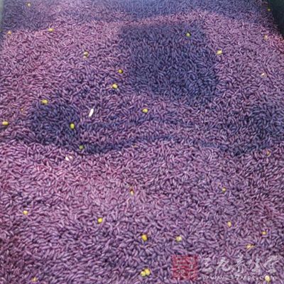 紫米具有乌发亮发、健脾益气、暖肝开胃以及补血明目的功效