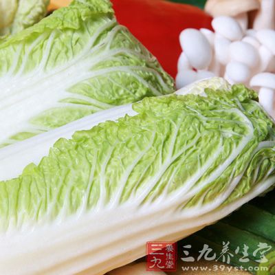 大白菜中含有大量的粗纤维
