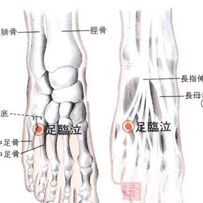 足临穴位于脚上第四脚趾后方，位于第四脚趾和小脚趾跖骨的中间位置