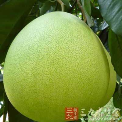 柚子皮含有精油，可提取做香味剂、化妆品