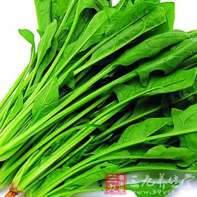 绿叶蔬菜还是维生素B2和β-胡萝卜素的好来源