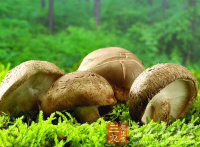 香菇含有蛋白质、粗纤维、维生素等营养成分