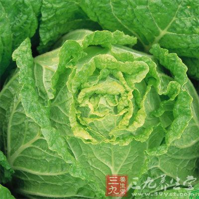白菜含有丰富的粗纤维，不但能起到润肠、促进排毒的作用又刺激肠胃蠕