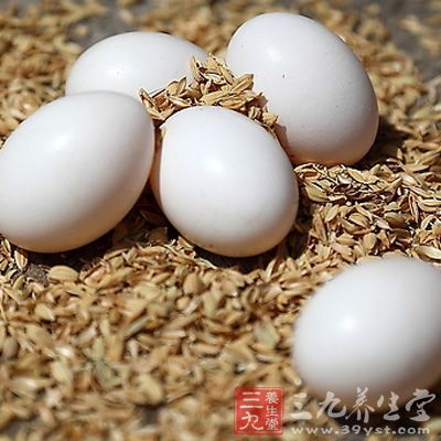 乳鸽蛋含有大量优质蛋白质及少量脂肪、并含少量糖分等营养成分