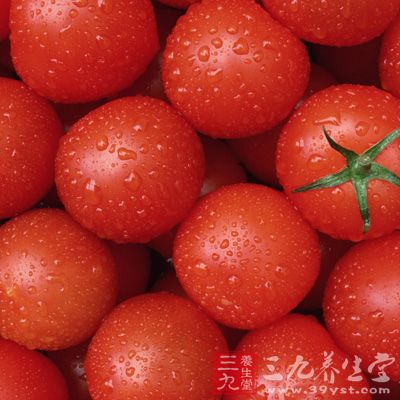 针对樱桃番茄不耐肥的特点，在栽培上要适当控制