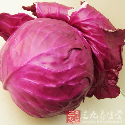 甘蓝菜菜有利于激素分泌，帮助乳房发育