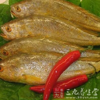 日本公鱼(H.japonicus)产于图门江下游