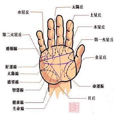 断掌是命理手相学中对手的掌纹的一种称呼