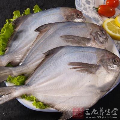 鲳鱼具有益气养血、补胃益精、滑利关节、柔筋利骨之功效