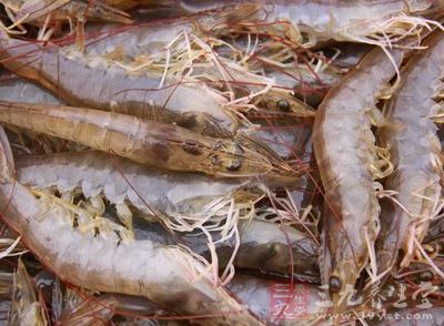 南美白对虾生活力强、适应性广