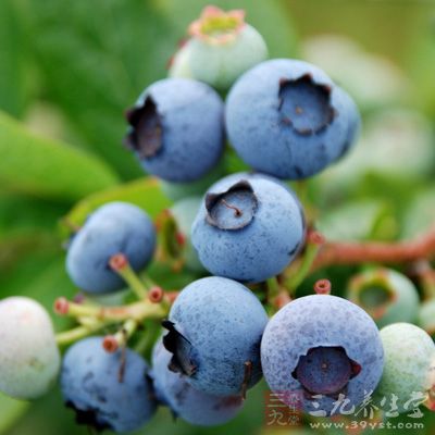 蓝莓能有效降低胆固醇，防止动脉粥样硬化