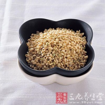 肥胖的人适当吃一些糙米，可以帮助减肥