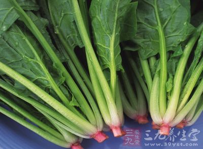 菠菜根部呈圆锥状，带有红色，很少是白色的。茎直立，为空心，脆弱多汁，没有分枝或有少数分枝