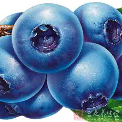 蓝莓性味甘平，富含各类氨基酸、矿物质、维生素、有机酸等营养物质以及花色素