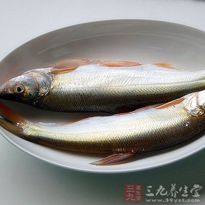 太湖白鱼是远近闻名的太湖三白之一