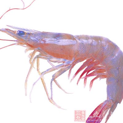 鲜活大红虾3公斤