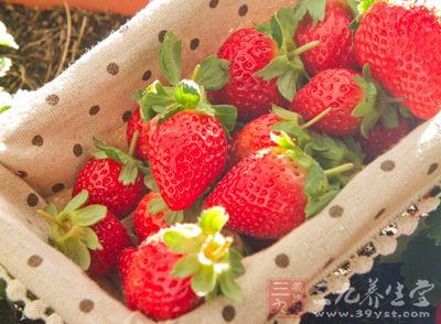 到了吃草莓的季节，看见红红的，鲜艳的草莓就会流口水