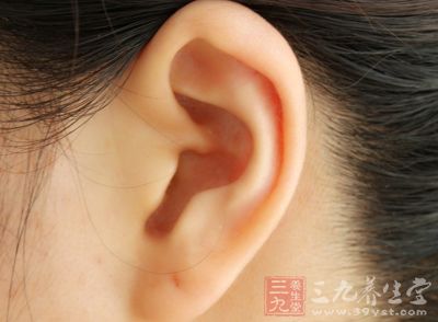 耳朵的上半部通常有栏