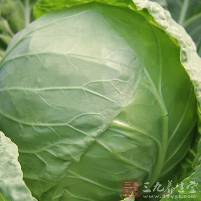 杯抱子甘蓝所含的纤维质可高达7.5克，是纤维质的最佳蔬菜来源之一