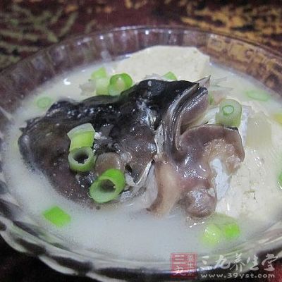 鲢鱼炖豆腐的制作方法