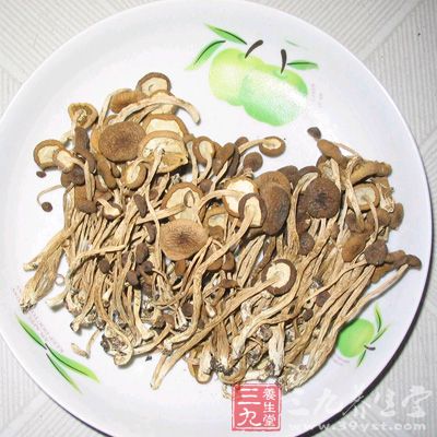 茶树菇是一种高蛋白，低脂肪，无污染，无药害，集营养、保健、理疗于一身的纯天然食用菌