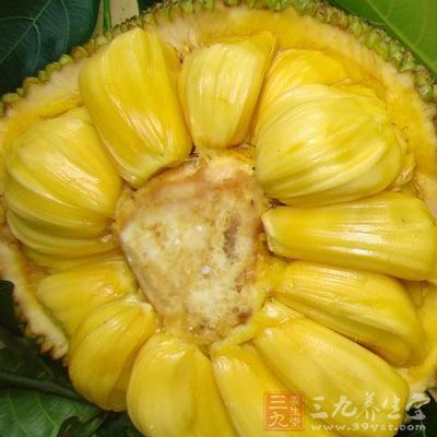 菠萝蜜的叶子还可以浸泡在米汤里面，以这样的米汤来治疗肚子疼痛等疾病