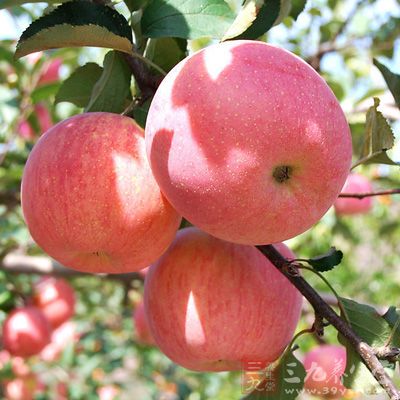 苹果中所含的富含番茄红素和花青素，够预防心脏病、泌尿系统疾病和前列腺癌