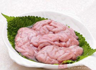 猪脑为猪科动物的大脑