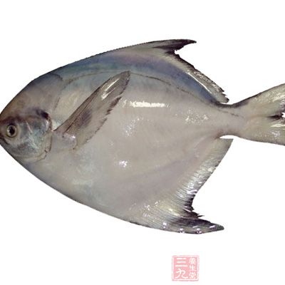 白鲳在白肉鱼中是维生素A含量较高的