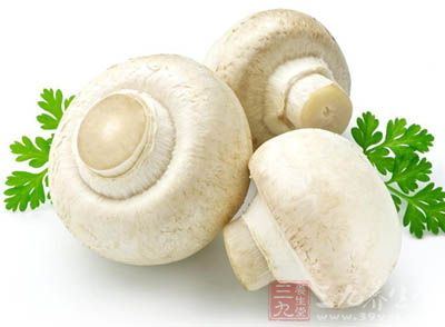 目前仍然是中国市场上最为昂贵的一种蘑菇