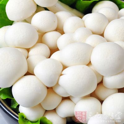 白玉菇中含有人体难以消化的粗纤维、半粗纤维和木质素