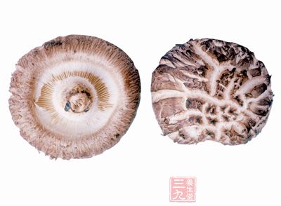 花菇是香菇中的上品，素有山珍之称