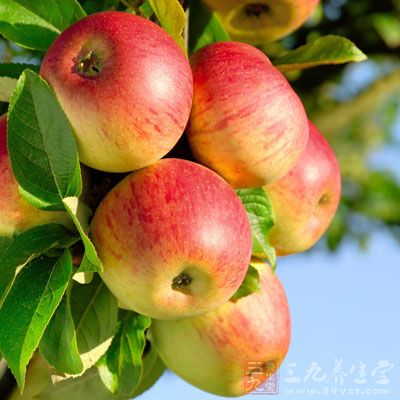 绝经期妇女多吃苹果，有利于钙的吸收和利用，防治骨质疏松
