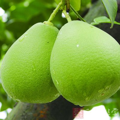 柚子营养丰富，每100克柚子中富含150毫克的维生素C