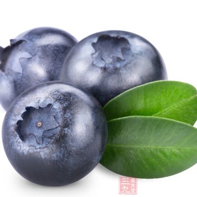 蓝莓浆果可以增强对人体对传染病的抵抗力