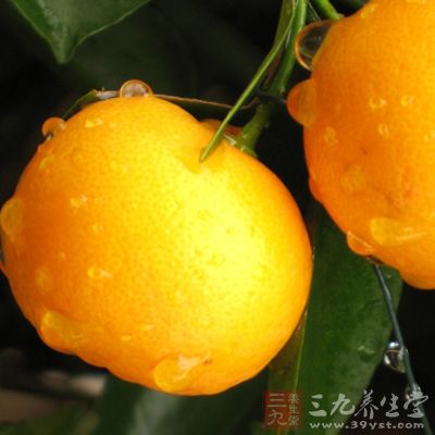 金橘又称金柑、夏橘、金枣、寿星柑，也是柑橘类水果之一