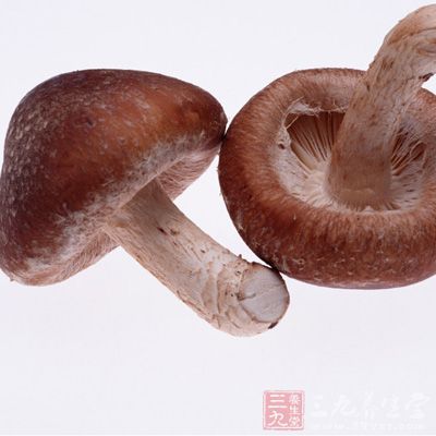 著名的日本香菇史学家中村克哉认为，《惊蕈录》对日本香菇生产具有划时代的意义